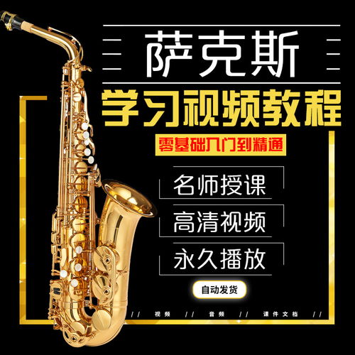 淘寶主圖 樂器