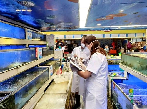 成都對部分加工海鮮和進口凍肉的批發市場開展核酸檢測 結果均為陰性