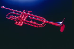 樂器 221