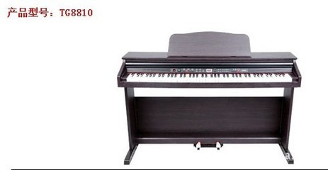 【吟飛牌電鋼琴 TG8810 廣州市弘揚(yáng)樂(lè)器】?jī)r(jià)格,廠家,圖片,西洋鍵盤(pán)樂(lè)器,廣州市海琴樂(lè)器批發(fā)部-