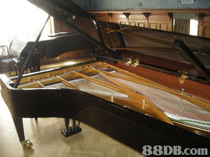 2020最新271個有關(guān)grand piano kawai rx2之價格及商戶聯(lián)絡(luò)資訊 hk 88db.com